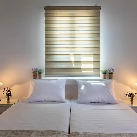 Guest house Olivas